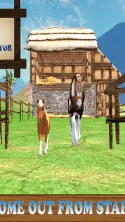 Pony Horse Simulator Kids 3D screenshot 13