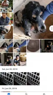Google Photos screenshot 5