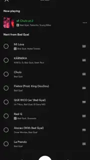 Spotify screenshot 15