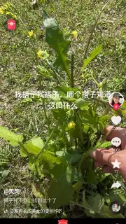 Douyin Express Edition screenshot 1