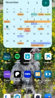 Google Calendar screenshot 8