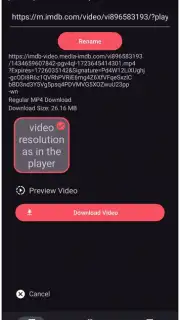 VidMad Video Downloader screenshot 3