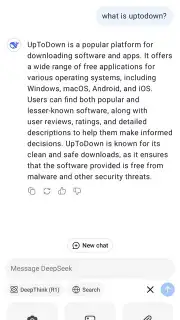 DeepSeek screenshot 8