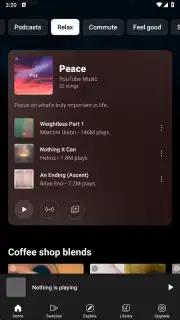 YouTube Music (Android TV) screenshot 13