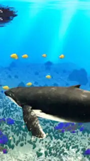 The Humpback Whales screenshot 15