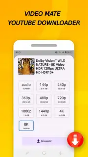 Vidora YouTube Downloader | free & fast screenshot 13