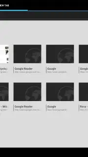Tint Browser screenshot 2