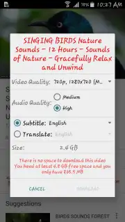 OGYouTube screenshot 6