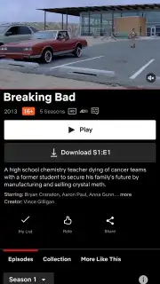 Netflix (Android TV) screenshot 15
