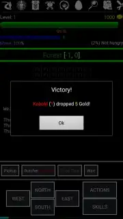 Random Adventure Roguelike screenshot 10