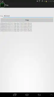 Ping screenshot 2