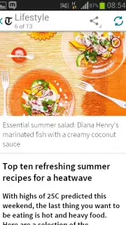 Telegraph screenshot 2