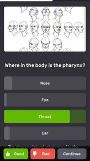QuizzLand screenshot 1