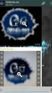 OGWhatsApp screenshot 1