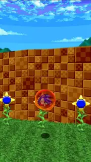 Sonic Robo Blast 2 screenshot 8