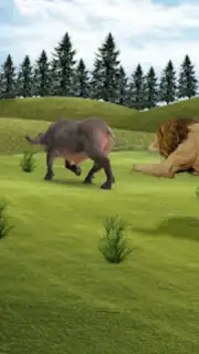 Lion Simulator Animal Games 3d screenshot 2