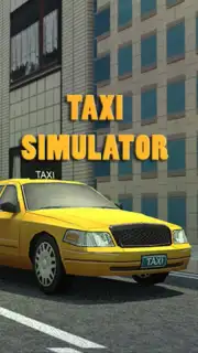 Taxi Driver 3D Simulator screenshot 1