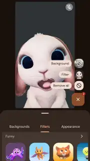 Google Meet screenshot 12