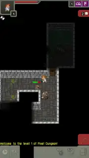 Moonshine Pixel Dungeon screenshot 6