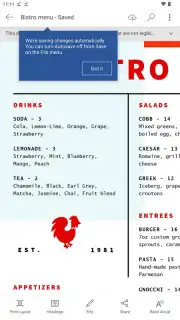 Microsoft Word screenshot 17