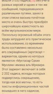 САХИХ МУСЛИМ screenshot 6
