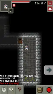 ReMake Pixel Dungeon screenshot 5