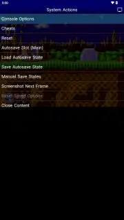 VideoEmu Game screenshot 5