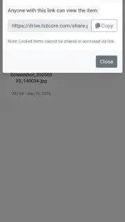Hizdrive screenshot 5
