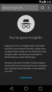 Chrome Beta screenshot 17