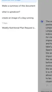DeepSeek screenshot 10