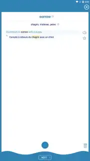 Reverso Translation Dictionary screenshot 17