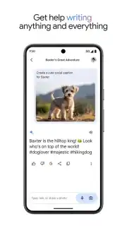 Google Gemini screenshot 8