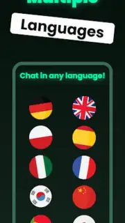 Chatbot screenshot 2