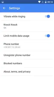 Google Meet screenshot 3