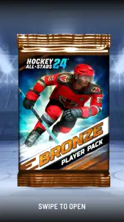 Hockey All Stars 24 screenshot 14