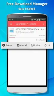 Free Download Manager screenshot 1