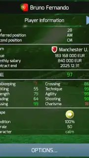 True Football 3 screenshot 13