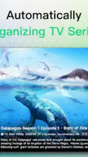 VidHub screenshot 10