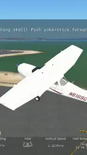 Infinite Flight screenshot 7