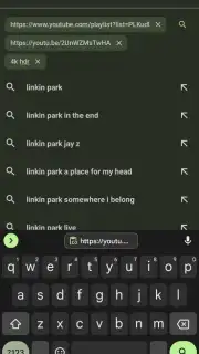 YTDLnis screenshot 9