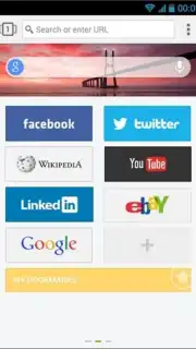 Next Browser screenshot 3