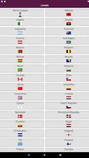 World Football Simulator screenshot 19
