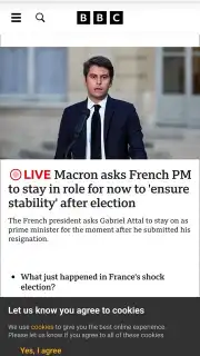 Firefox screenshot 5