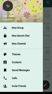 Messenger Plus screenshot 4