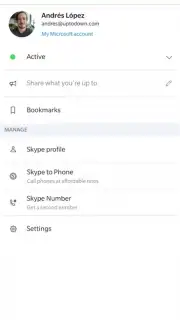 Skype screenshot 1