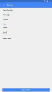 Google Translate screenshot 15