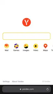 Yandex Browser screenshot 14