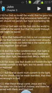 Holy Bible King James Version screenshot 6
