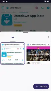 Tor Browser screenshot 26