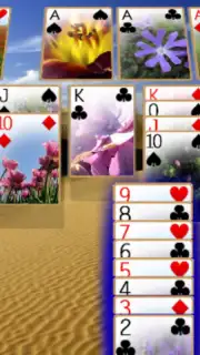Solitaire 3D screenshot 3